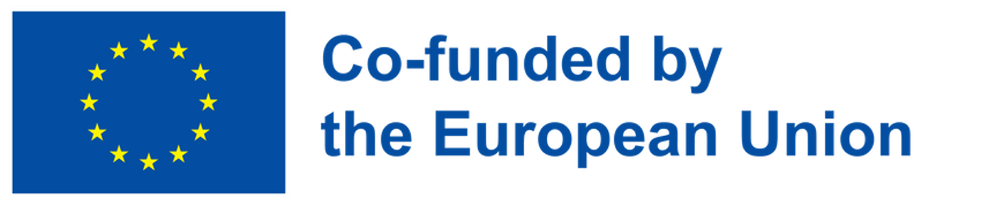 Co-funded by the European Union